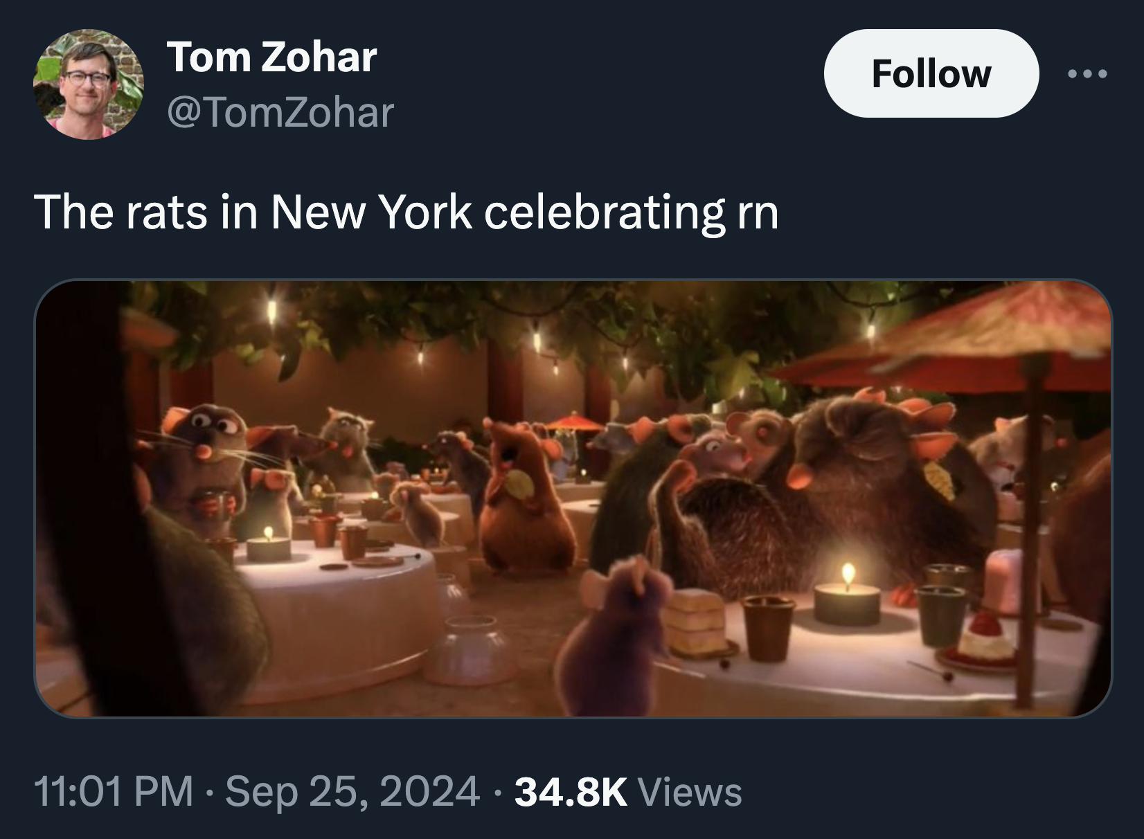 sagra - Tom Zohar The rats in New York celebrating rn Views